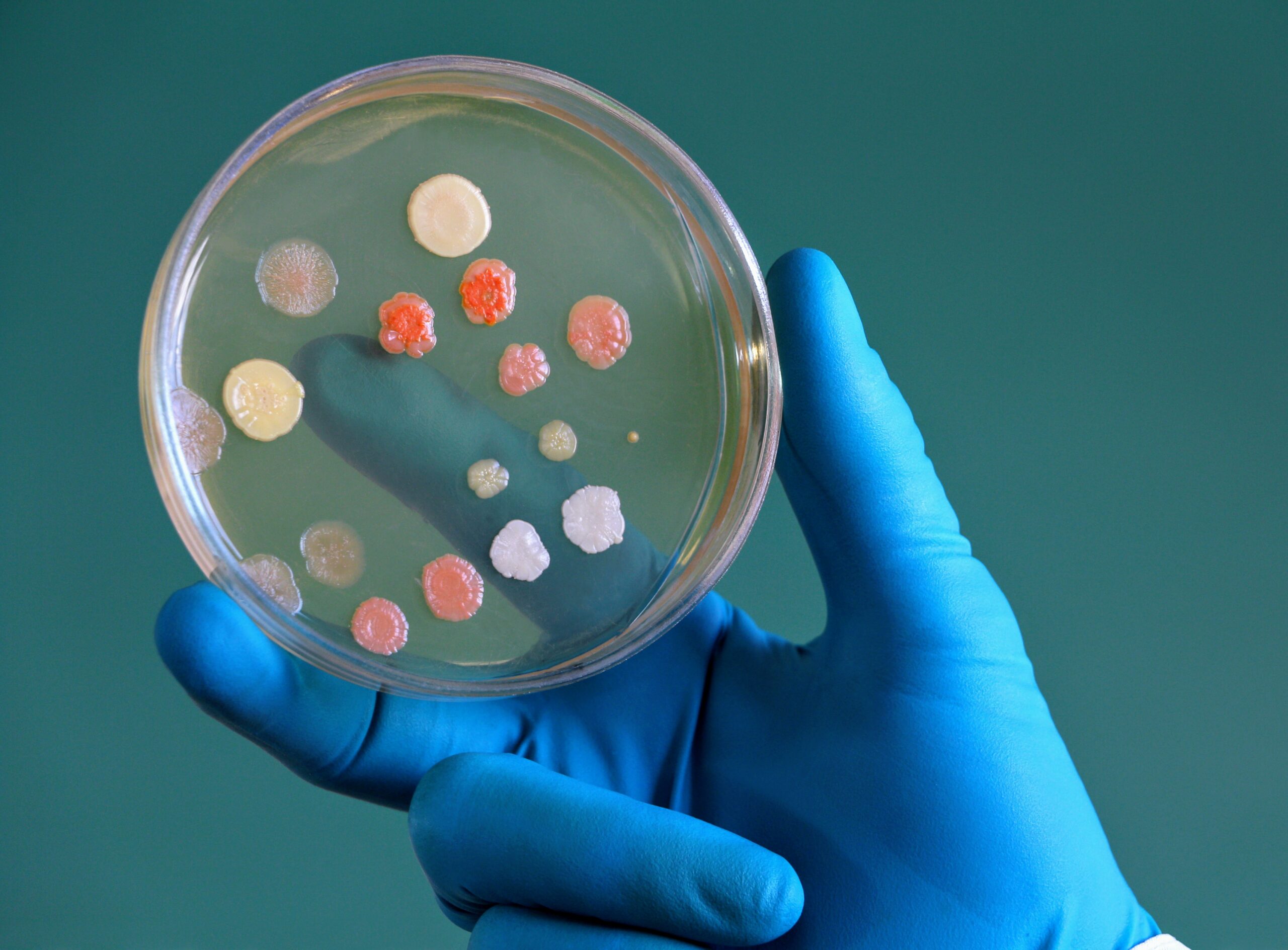 Revolutionizing Medicine: New Radio Wave Technique for DNA Modification in Bacteria