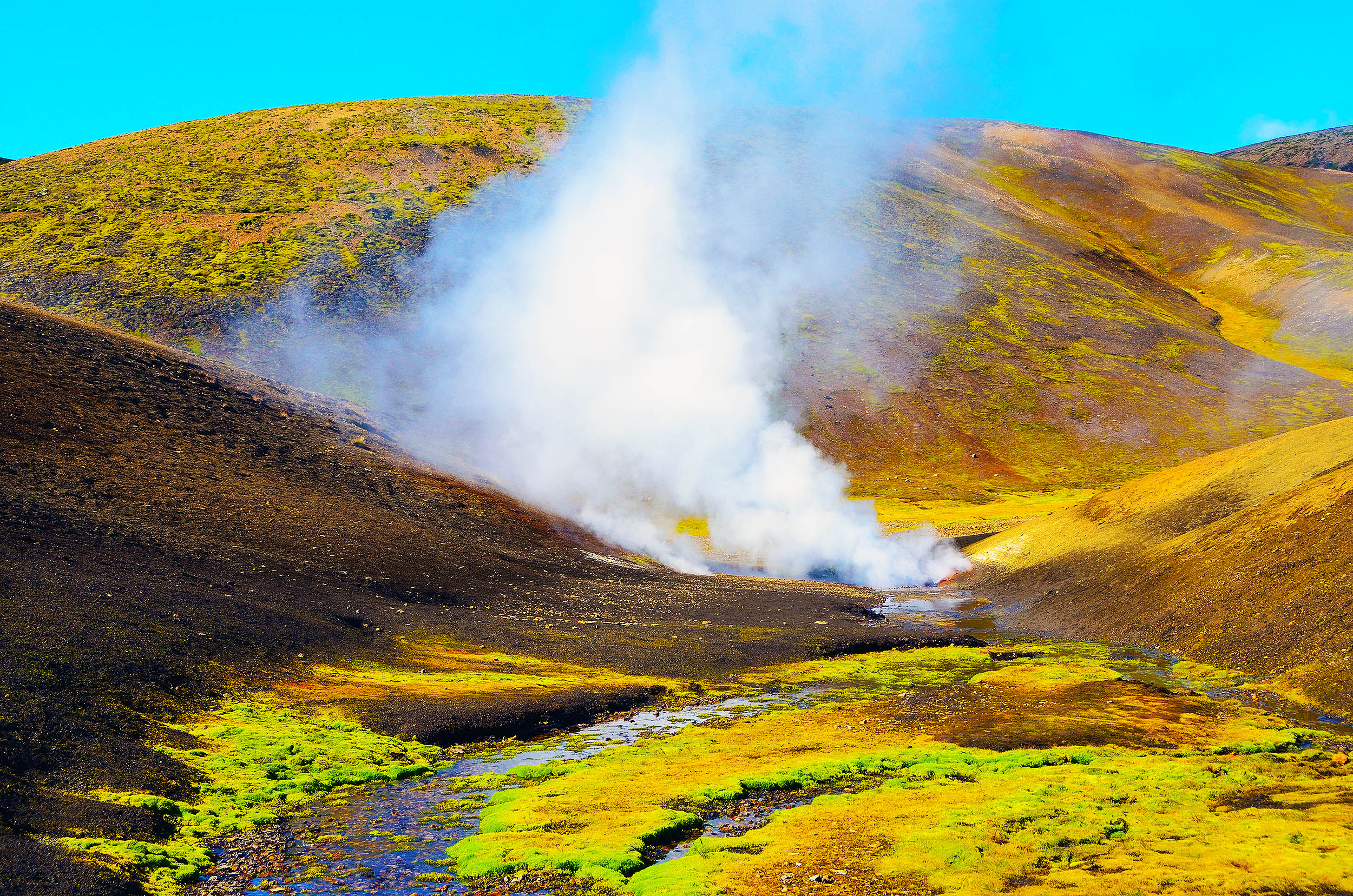 The Soil Warming Effect: Boosting Diversity in Microbial Life