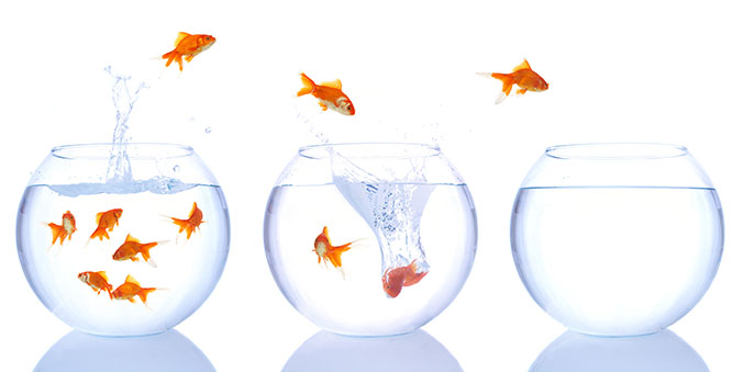 Exploring Existence: A Review of “Life in the FishBowl” by Ron Gonzales and Guisselle Nuñez