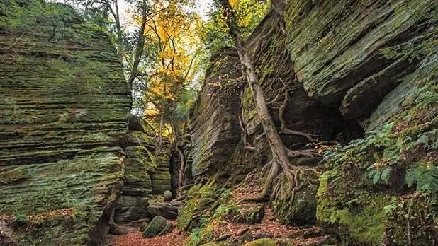 Autumn-colored trees stand amid the towering rock walls of Panama Rocks Scenic Park