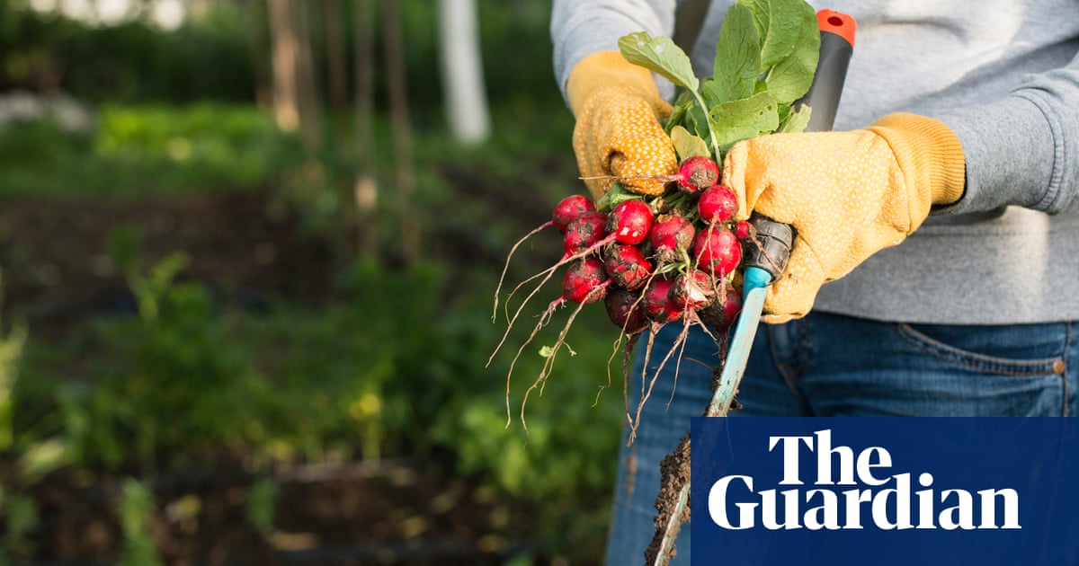 Learning from Others: The Key to Cultivating Your Own Crops