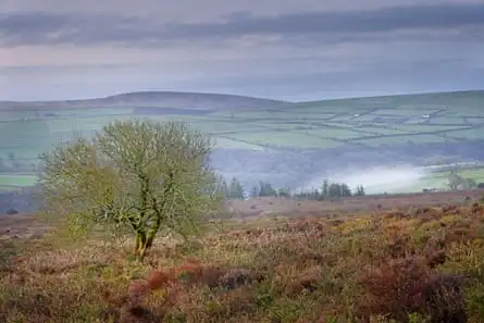 The Gwaun valley at dawn.