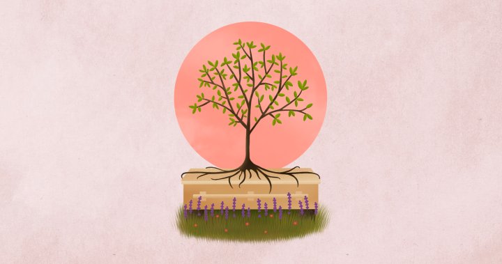 Life beyond death: Digging deep into the growing trend of green burials