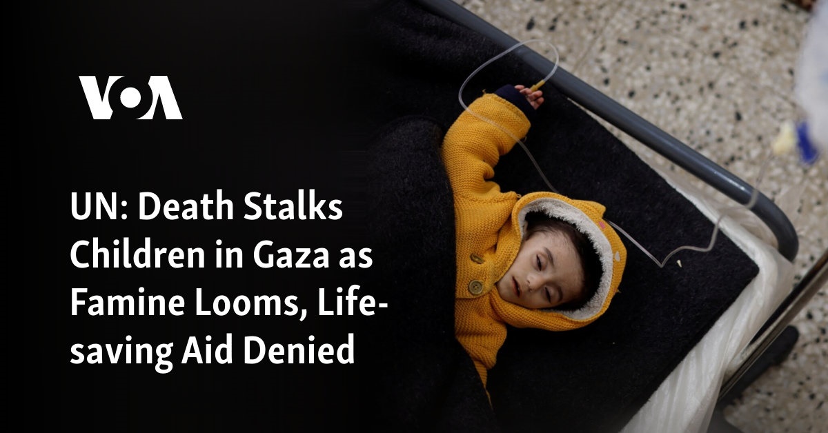 Children in Gaza Face Impending Famine Amid Denied Aid