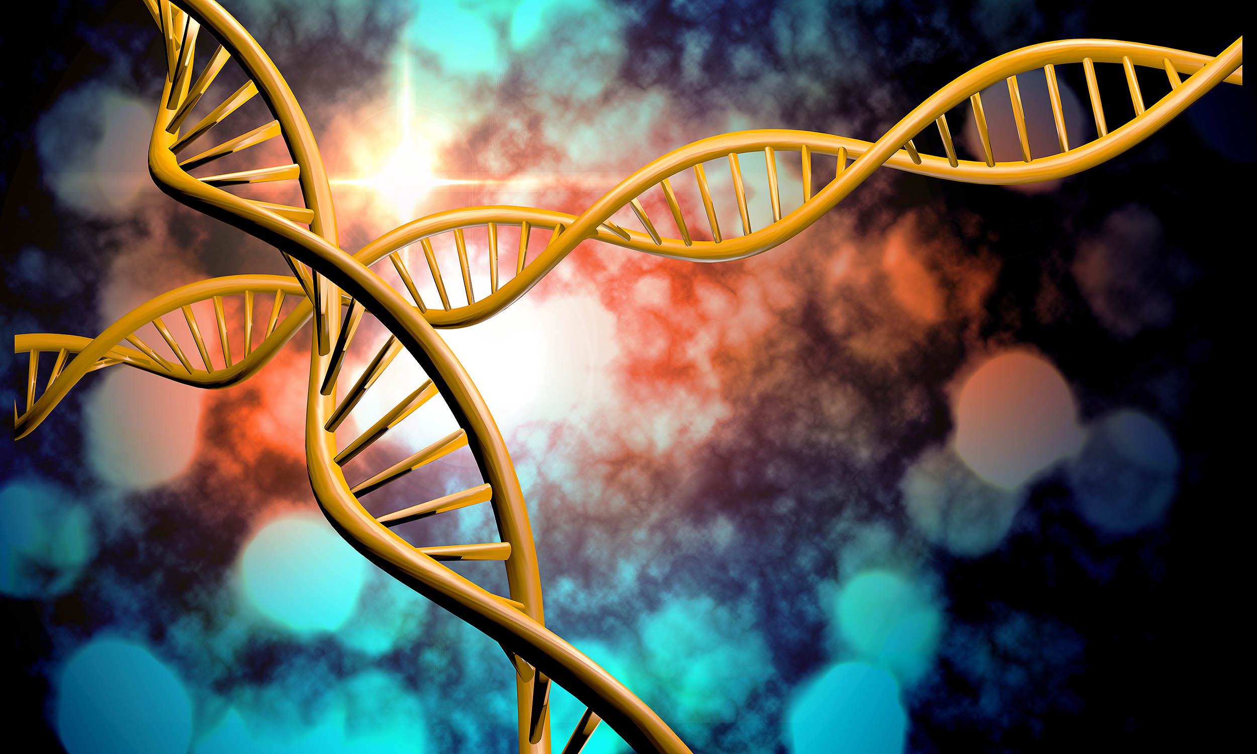 Lab-Made TNA: The New Artificial Life Foundation