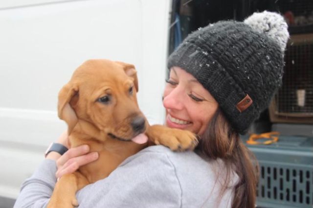 Julie Starr Empowers Shelter Dogs for a Brighter Future in Remarkable Women 2024
