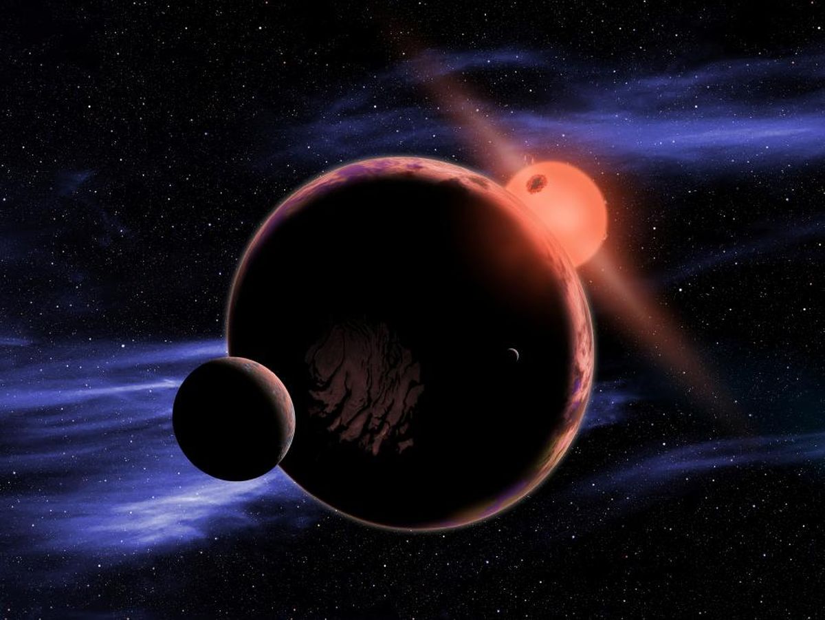 Can Life from Earth Thrive on a Red Dwarf Exoplanet?