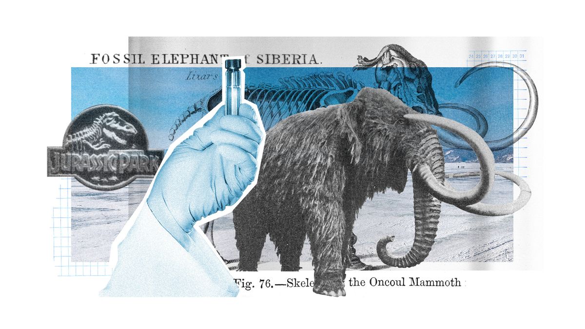 Reviving Giants: The Ambitious Journey to Resurrect Woolly Mammoths