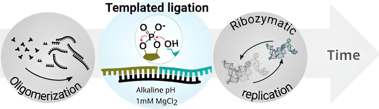 Unveiling How RNA Molecule’s Chemical Properties Fueled Life’s Emergence