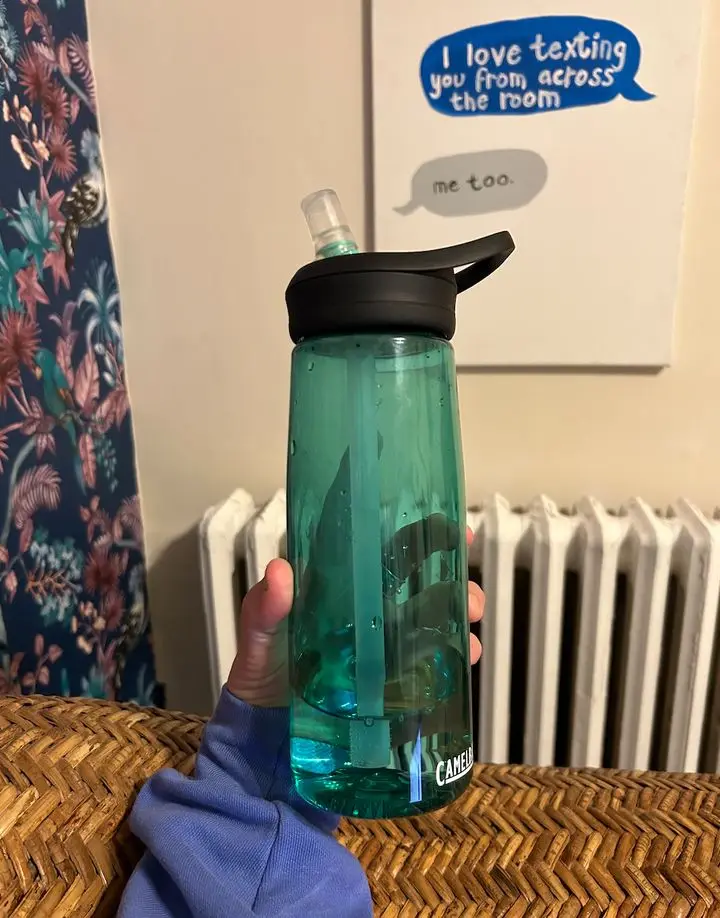 My shiny new CamelBak.