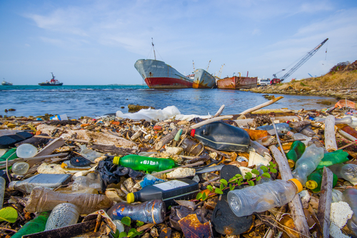 High-risk, plastic litter zones for marine life in the North Atlantic
