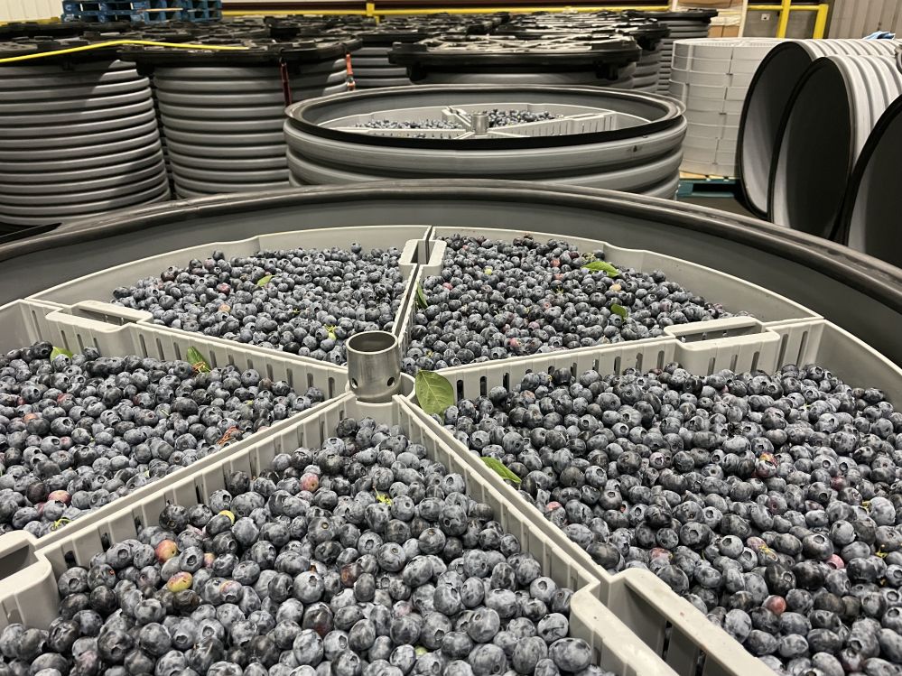 From roses to fresh hops, RipeLocker can double the shelf-life of some high-value crops, says VP