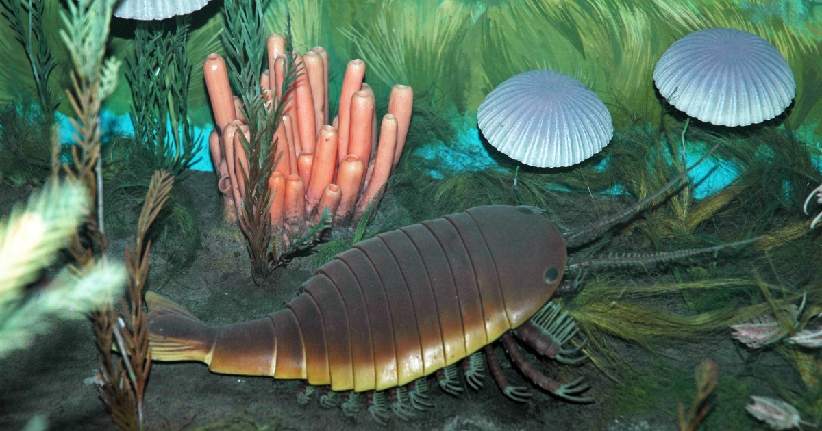 Evolution of Complexity: Unveiling Earth’s Transition to Multicellular Organisms