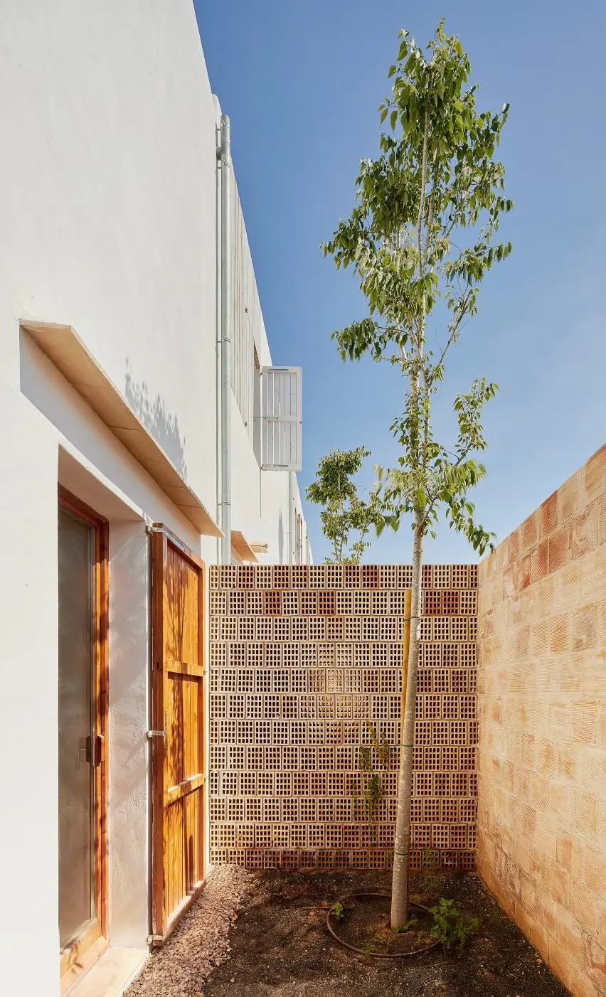 Shaded terrace garden