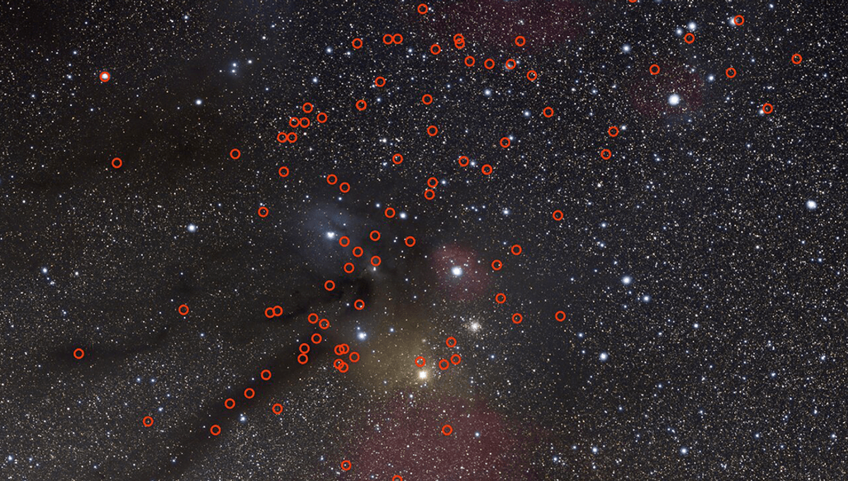 Potential for Life on Sunless Rogue Planets Enhanced by Dark Matter