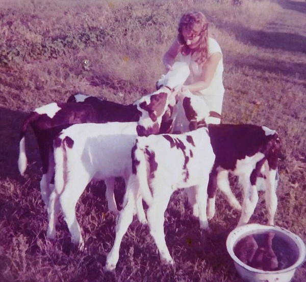 The Joys and Challenges of Raising Cattle: A Glimpse into Farm Life