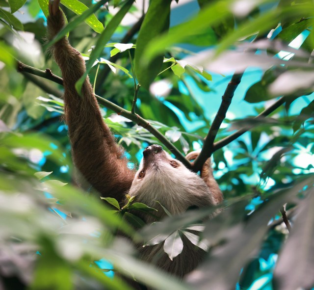 Embracing Nature: Experience ‘Life’ at Orlando Science Center