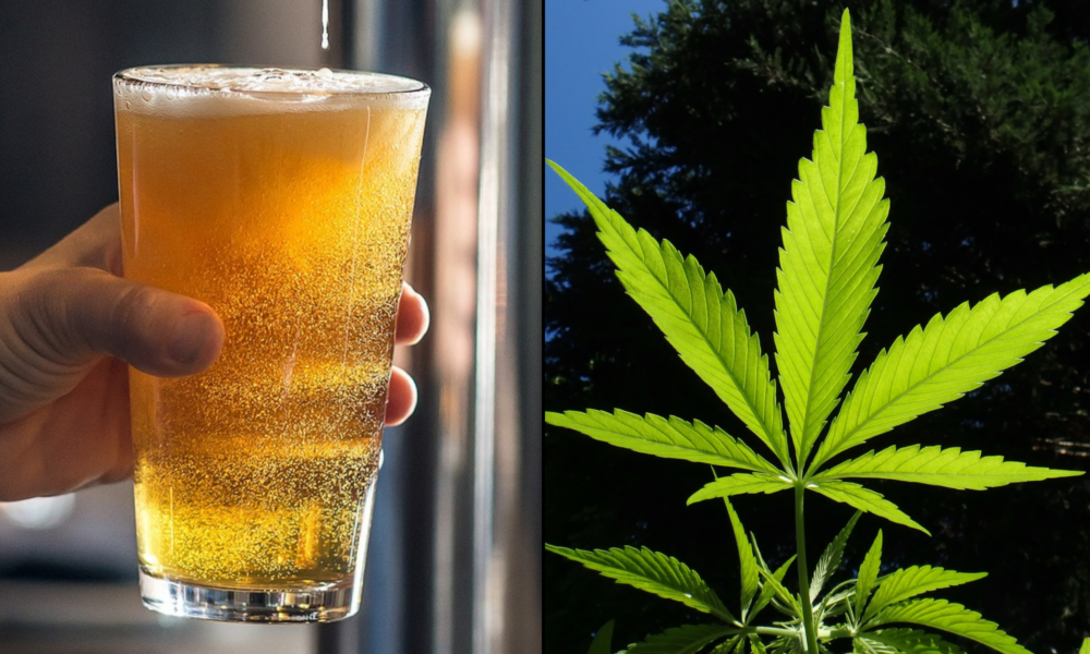 Florida Marijuana Initiative Will ‘Improve Quality Of Life’ By Providing Alcohol Alternative, Top Cannabis CEO Says, Pushing Back Against DeSantis