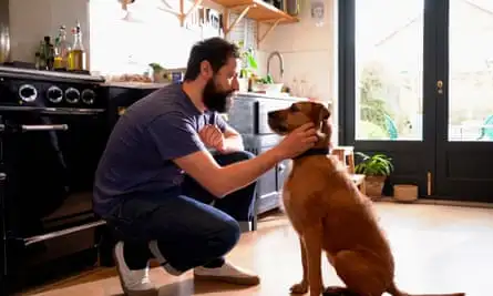 A crouching man pets his terrier in the kitchen