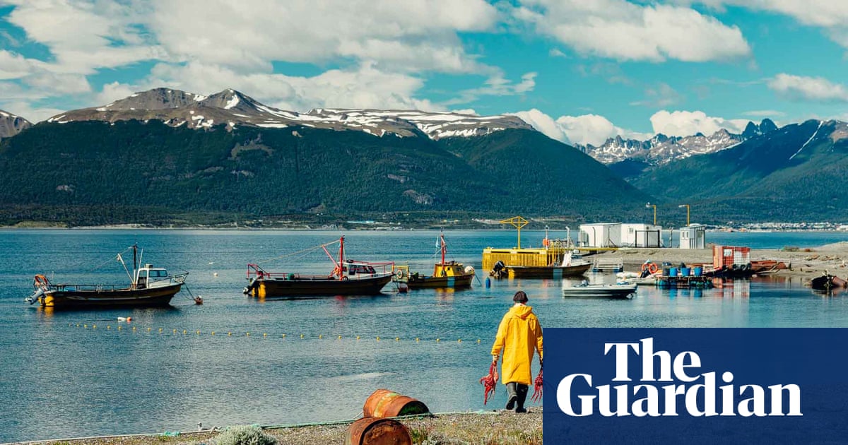 Can Banning Fish Farms in Chile Replicate Argentina’s Abundant Marine Life?
