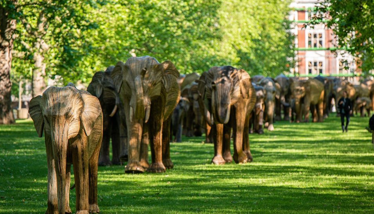 Summer Arrival: Newport, R.I. Welcomes 100 Life-Sized Elephant Statues