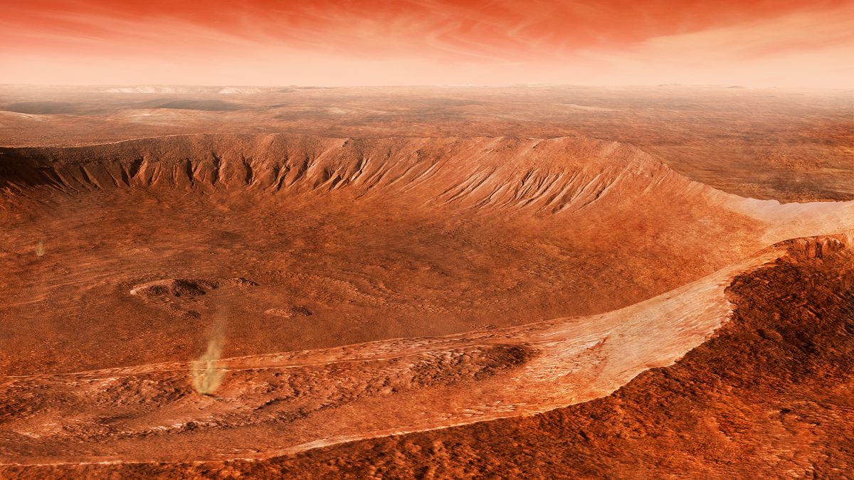 Exploring the Possibility of Interplanetary Life Transfer Through Meteors