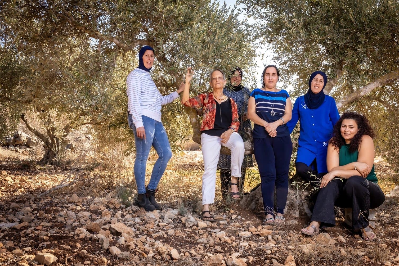 Israeli Olive Growers Grapple with Long-Term Impacts of Attack