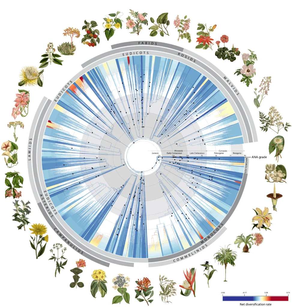A circle with pictures of plants around it.