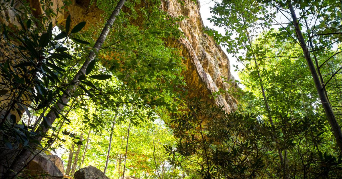 Kentucky land conservation fund gets ‘new lease on life’ from lawmakers