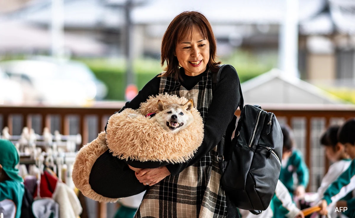 From Rescue Pup To Global Icon: Story Of Real Life ‘Dogecoin’ Dog