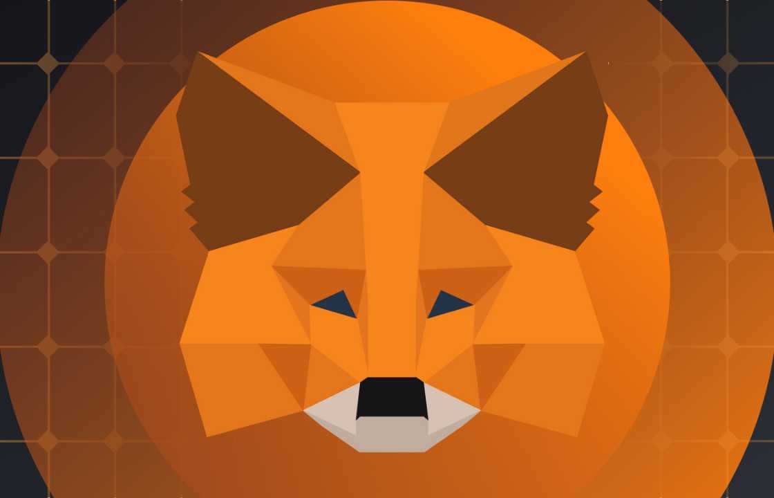 MetaMask Raises a Phishing Warning Following Unauthorized Emails via Namecheap