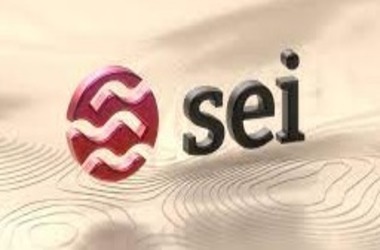 SEI Token Skyrockets Over 1,500%: Unveiling the Surge and Dynamics of Sei Blockchain