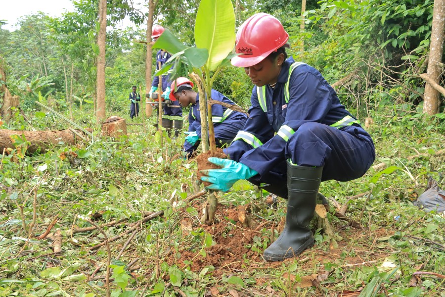 How a blockchain platform could help small-holder cocoa farmers become compliant with the EU’s deforestation laws