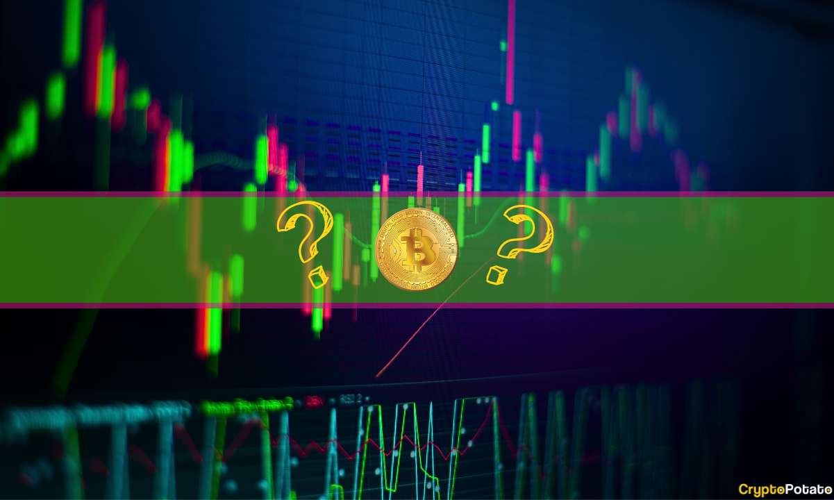 This Week’s Top Performers Revealed as BTC Price Remains Around $44K (Weekend Watch)