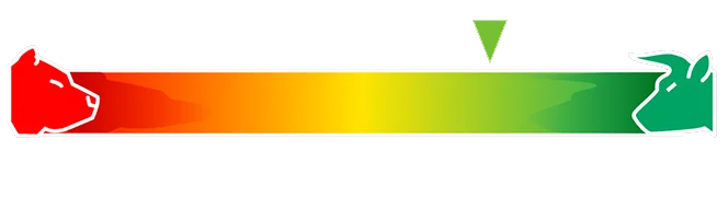 Sentiment Score - ,bullish