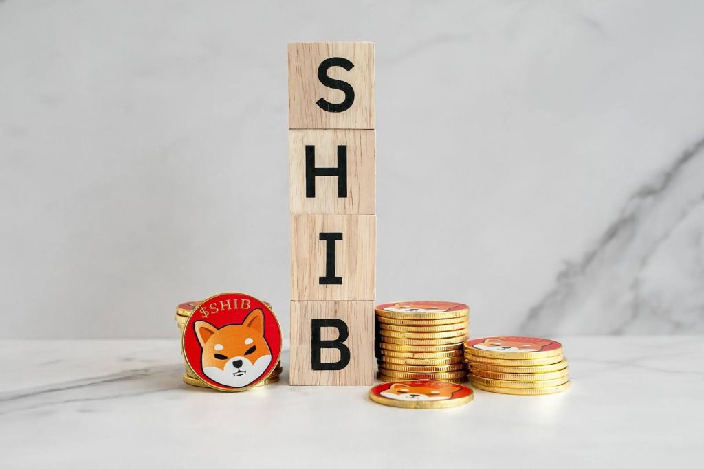 Thinking about investing in Shiba Inu? Experts suggest two other cryptocurrency options