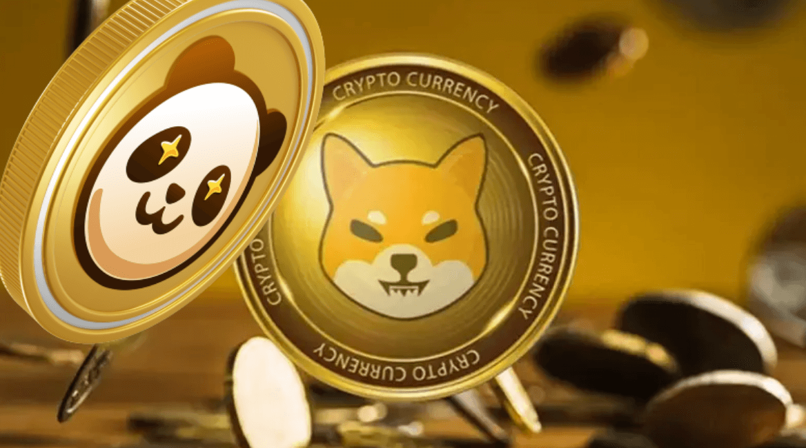 Shiba Inu has had its run, and a new project is here to take its place. Pandoshi (PAMBO) is a new cryptocurrency rapidly gaining popularity