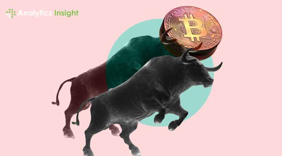 Possible Crypto Bull Market in 2024: 10 Reasons