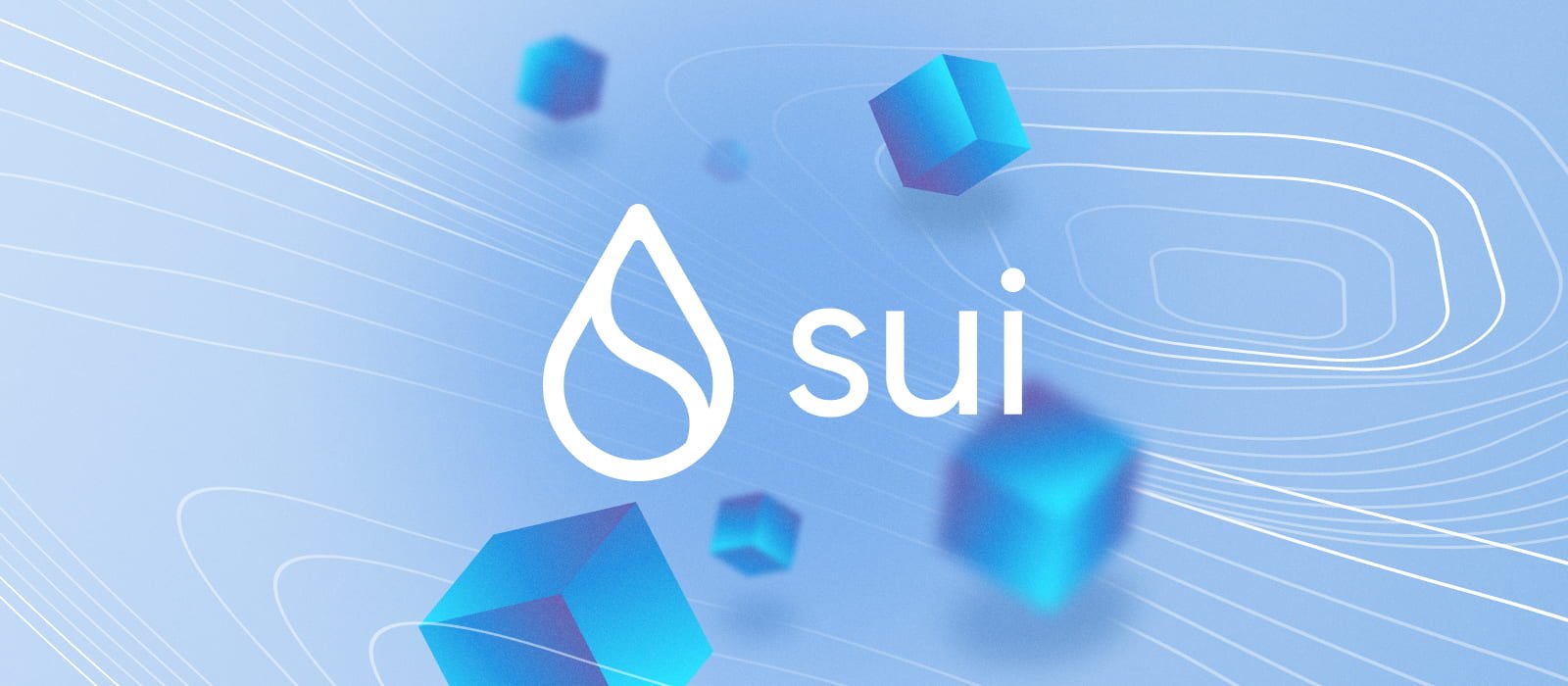 As Sui Price Rises Over 20% in a Week, Could This New Cryptocurrency Surge Next?