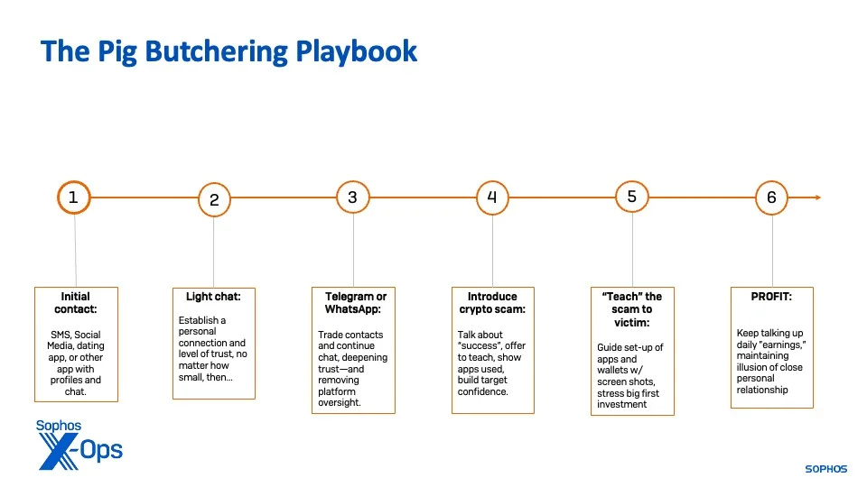 Flowchart of steps of a typical pig butchering scam