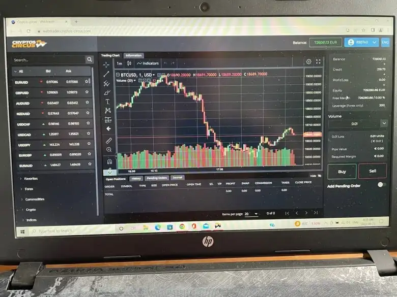 A website appearing to show investment charts for cryptocurrency.