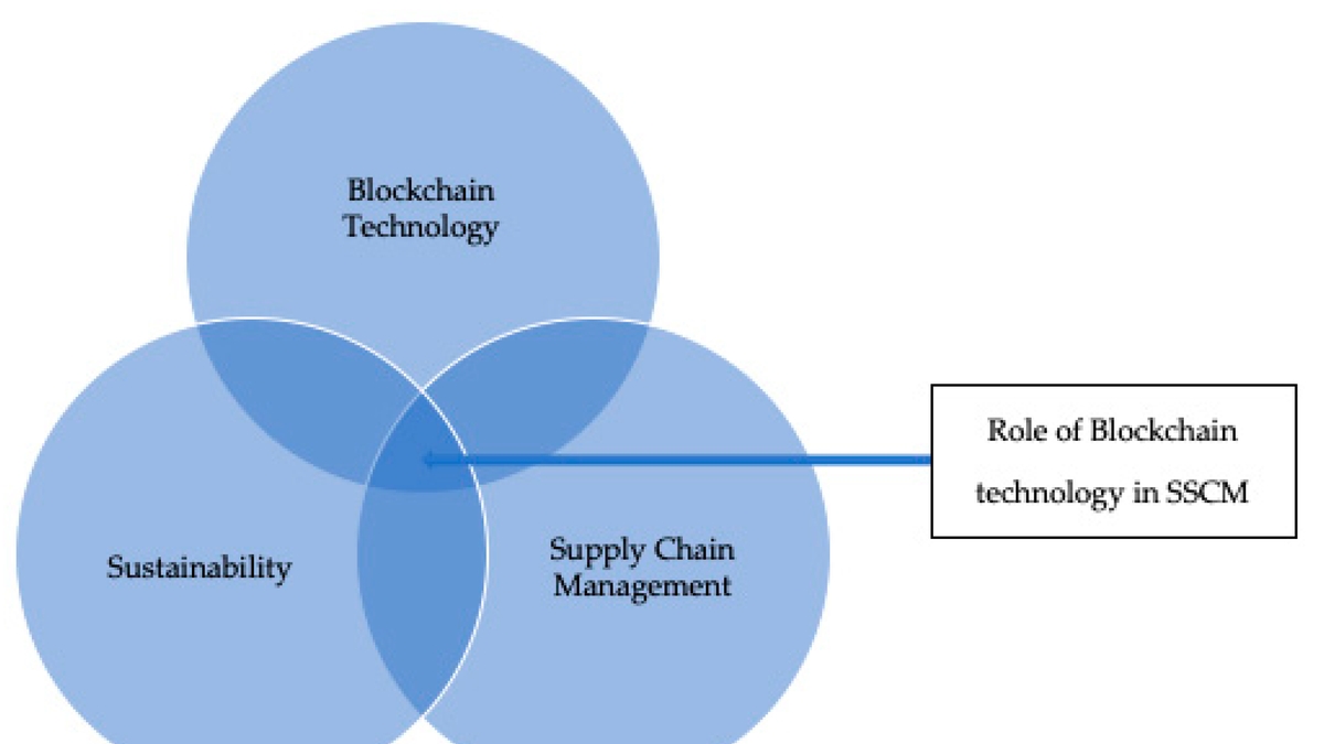 Unleashing the Power of Blockchain and AI for Sustainable Development in the Digital Economy