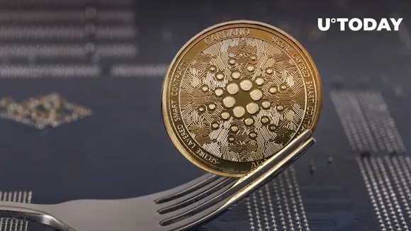 Cardano Blockchain Ecosystem: Unprecedented Growth and Governance