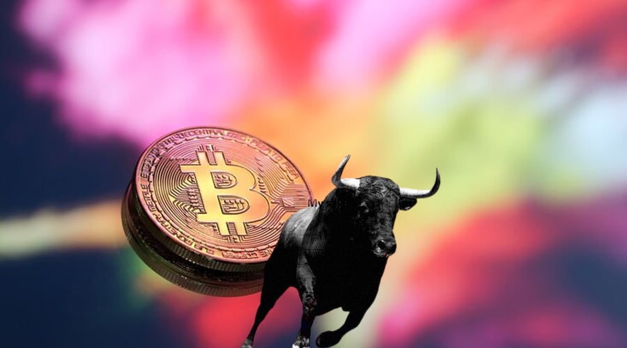 Cryptocurrency Market Exhibits Stability Amid Bull Run Anticipation