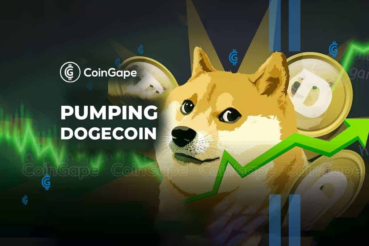 Dogecoin Price Jumps 20% As Andrew Kang Bets On DOGE ETF Launch