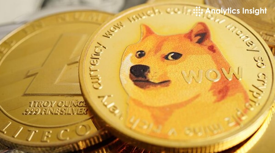 Dogecoin (DOGE) Price Up: +20%