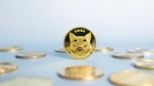 A concept image for the Shiba Inu (SHIB) cryptocurrency.