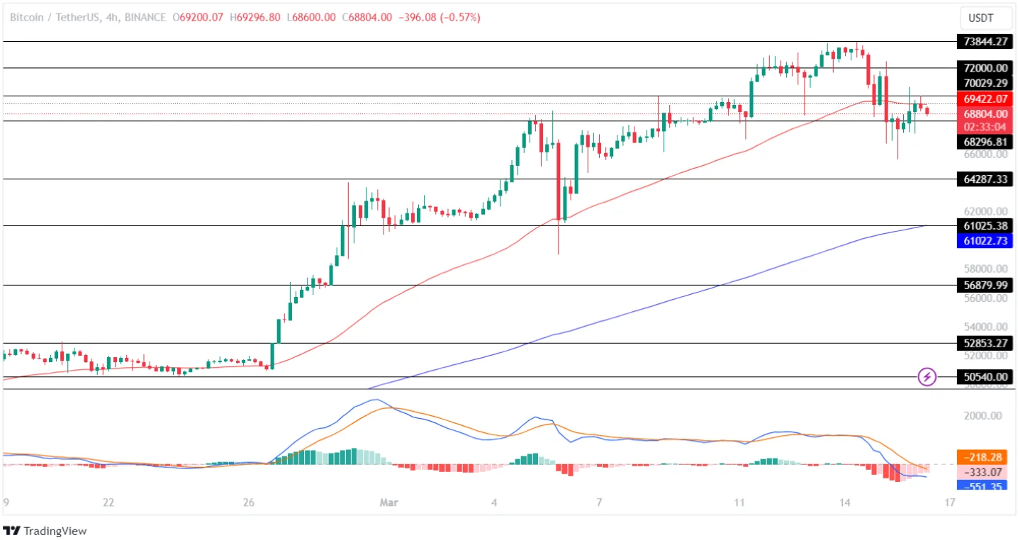 Bitcoin Price Analysis