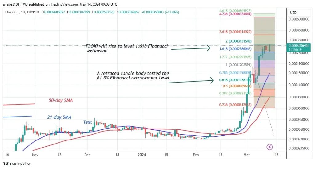 FLOKIUSD_(Daily Chart) – March 14.jpg