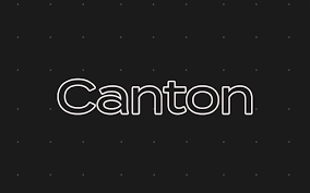 Blockchain in Action- Major Financial Institutions Test Tokenized Assets on Canton Network